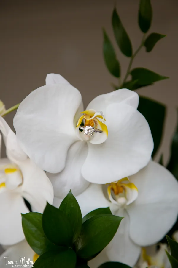 Engagement ring resting inside a white phalaenopsis orchid